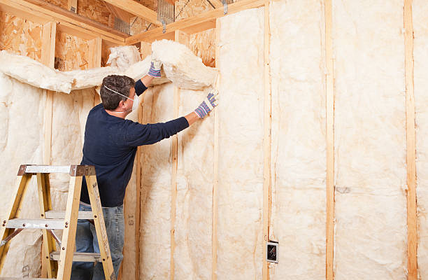 Best Eco-Friendly Insulation Solutions  in USA